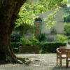American Tree Experts_Tree Maintenance