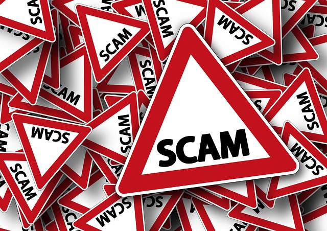 Buyer Beware: watch out for tree service scams this year