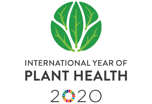 United Nations declares 2020 the “International Year of Plant Health”