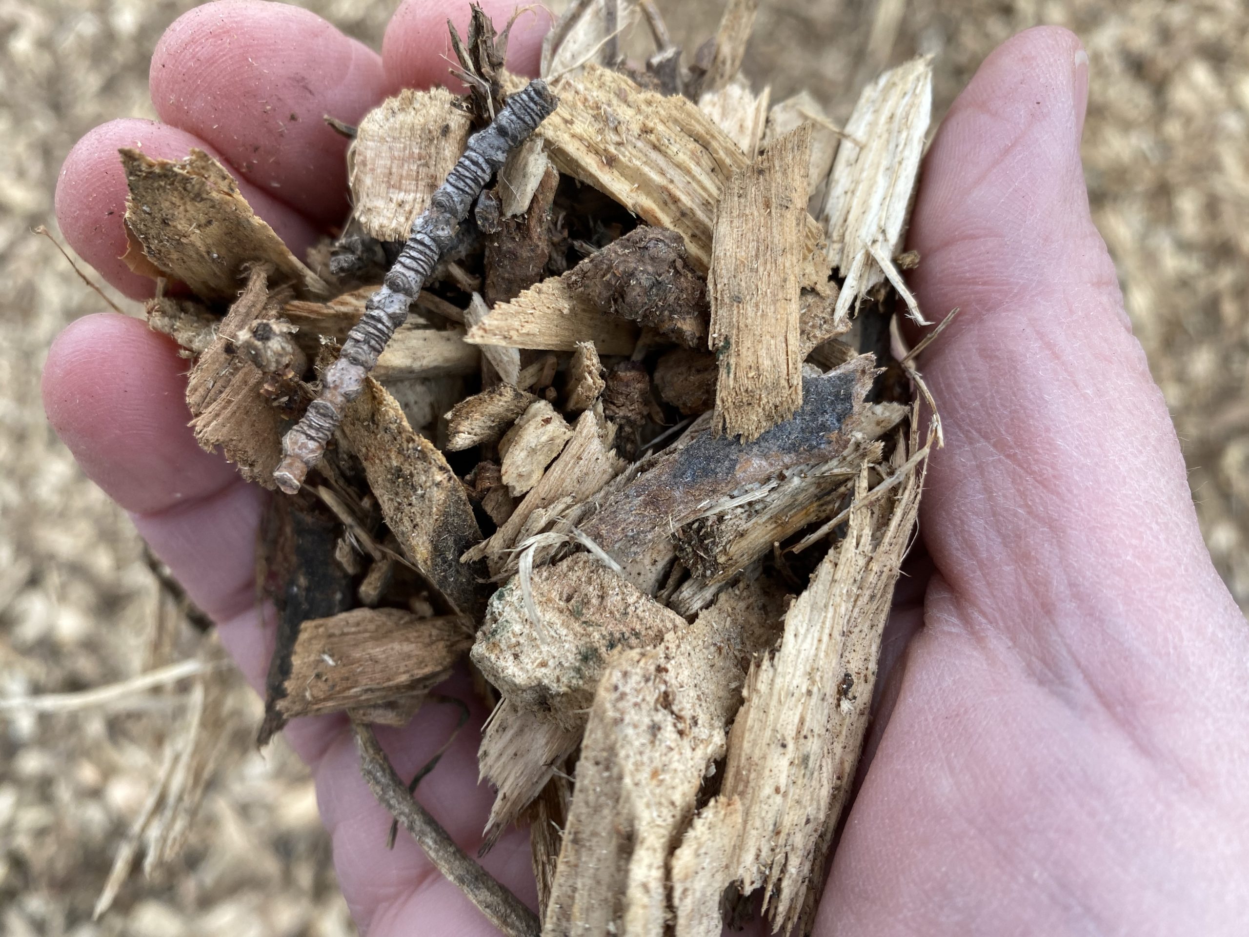 Arborist wood chips are the best type of mulch for your landscape