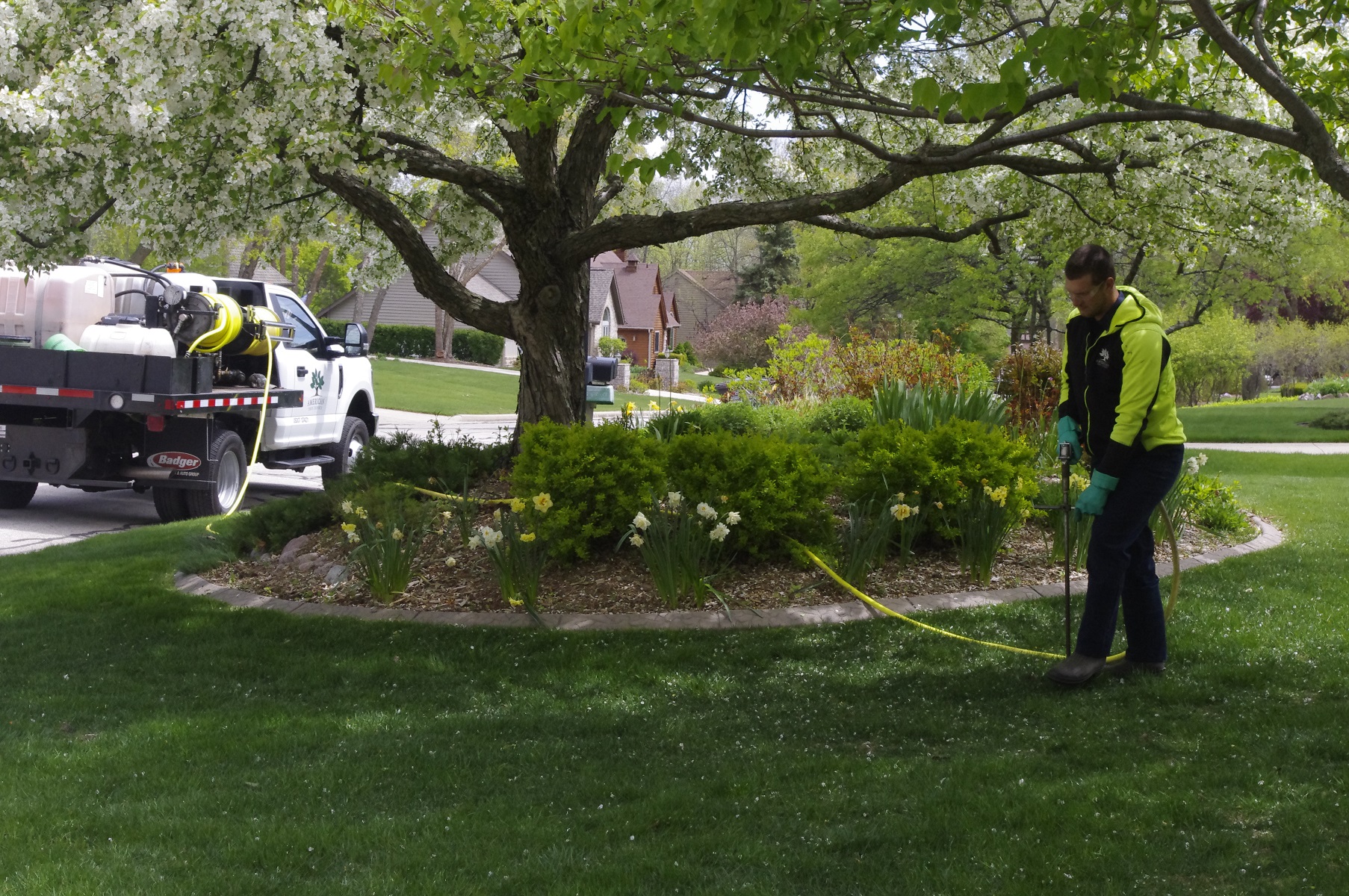Protect your trees and shrubs with customizable Plant Health Care (PHC) solutions