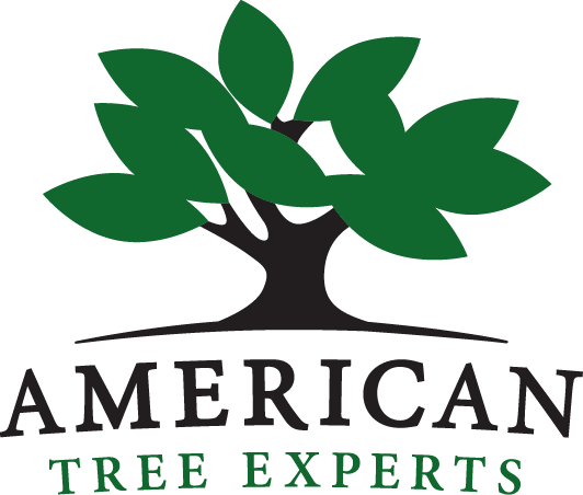 American Tree Experts