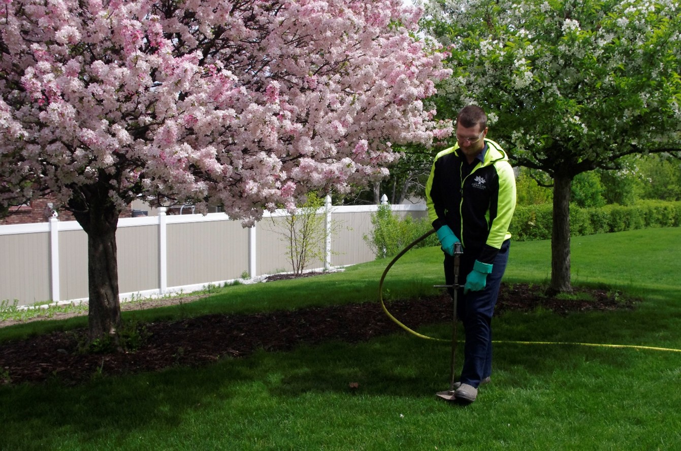 The importance of hiring a professional arborist
