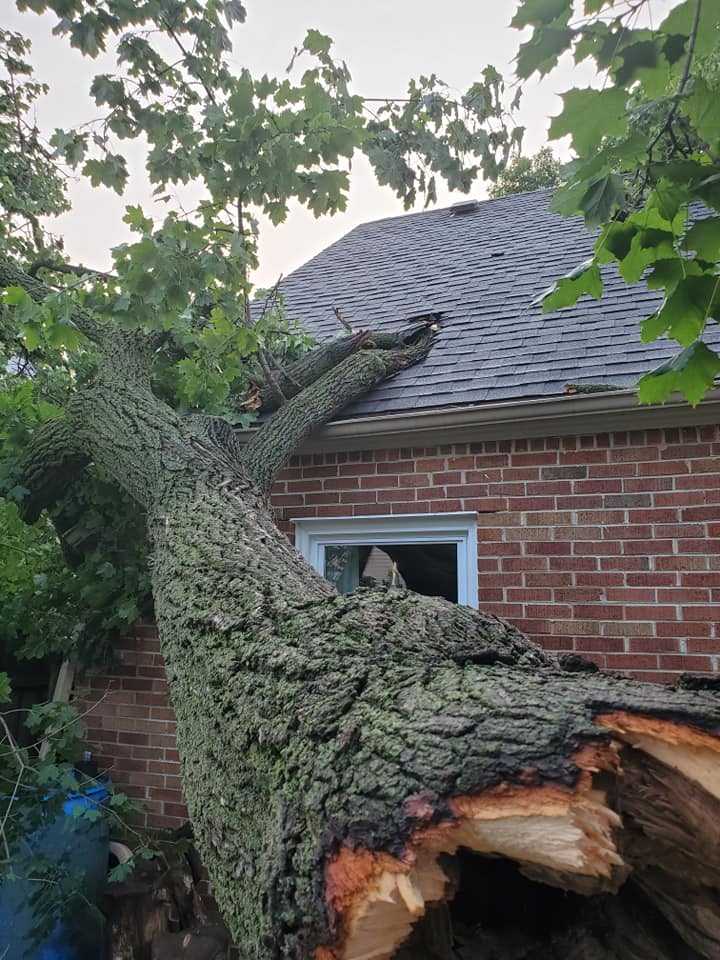 Avoid a potential catastrophe with storm damage prevention