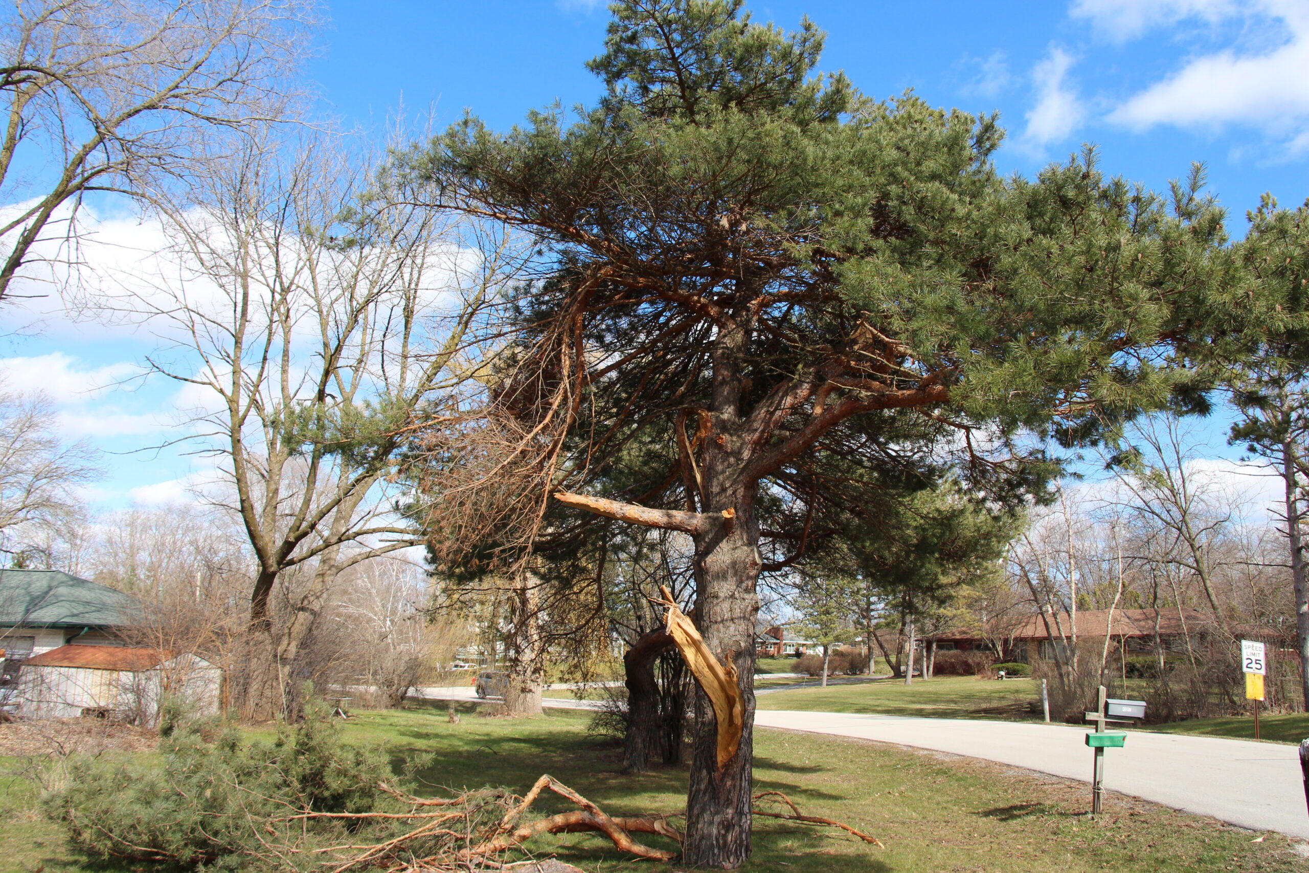 Encouraging Spring Inspections After Historic Winter Storm Damage